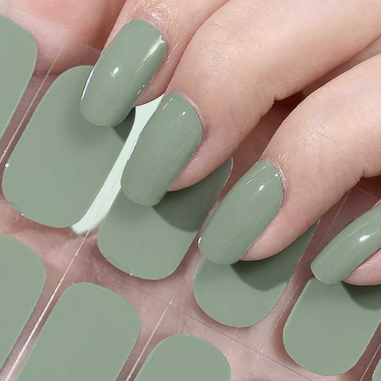 Olive Green